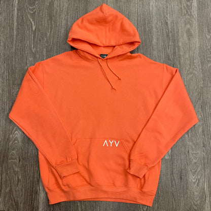 AYV Logo Hoody